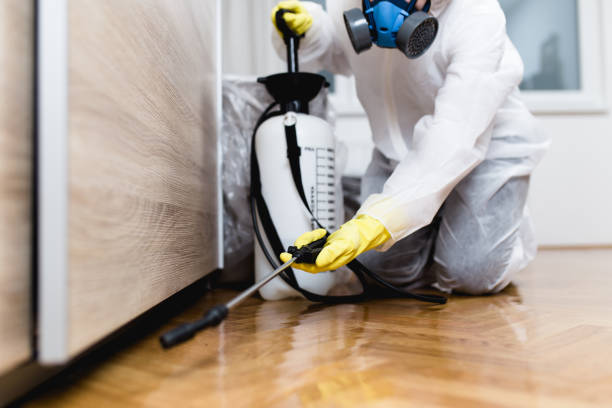 Best Flea Control Services  in East Grand Rapids, MI