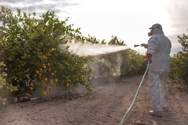 East Grand Rapids, MI Pest Control Company