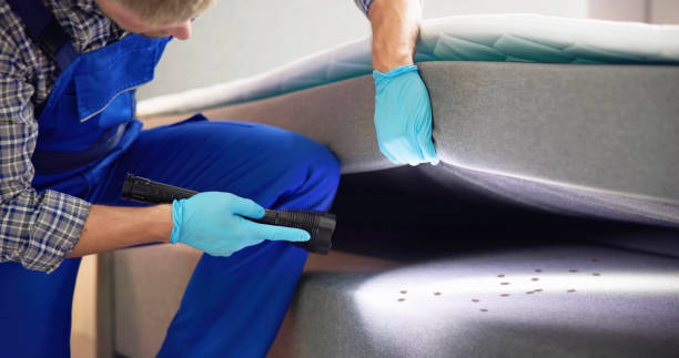Best Pest Inspection Near Me  in East Grand Rapids, MI