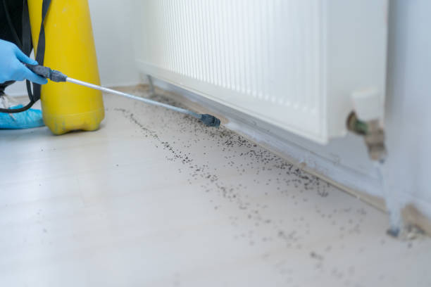 Best Pest Removal Services  in East Grand Rapids, MI